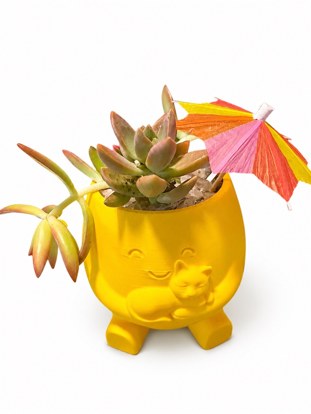 Cute Yellow Cat Planter with Succulent